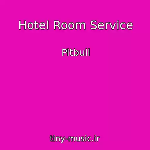 کاور آهنگ Hotel Room Service از Pitbull