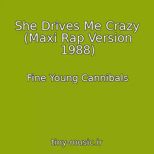 کاور آهنگ She Drives Me Crazy (Maxi Rap Version 1988) از Fine Young Cannibals