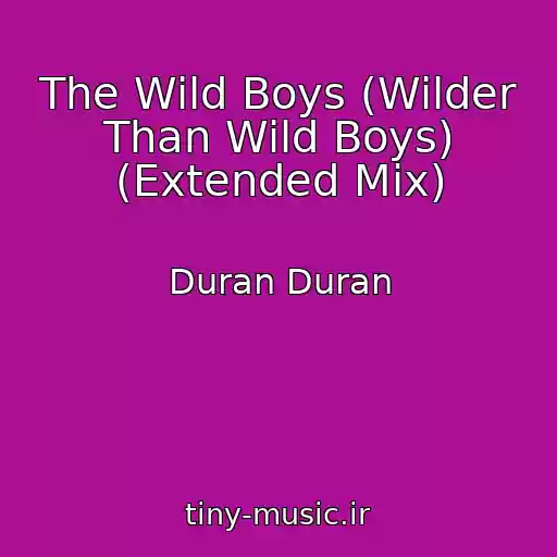 کاور آهنگ The Wild Boys (Wilder Than Wild Boys) (Extended Mix) از Duran Duran
