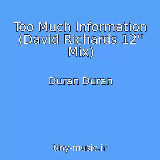 کاور آهنگ Too Much Information (David Richards 12'' Mix) از Duran Duran