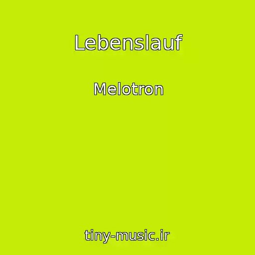 کاور آهنگ Lebenslauf از Melotron