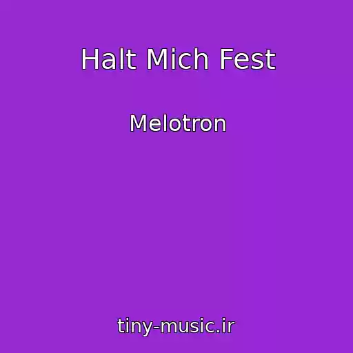 کاور آهنگ Halt Mich Fest از Melotron