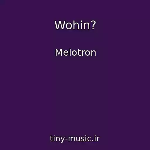 کاور آهنگ Wohin? از Melotron