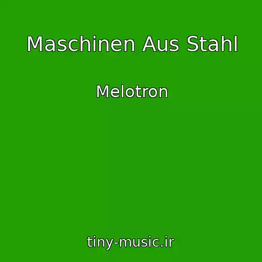 کاور آهنگ Maschinen Aus Stahl از Melotron