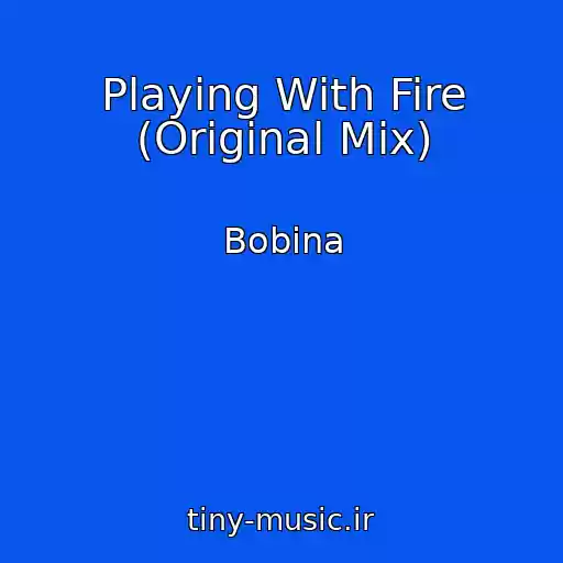 کاور آهنگ Playing With Fire (Original Mix) از Bobina