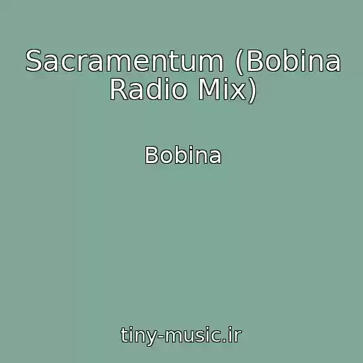 کاور آهنگ Sacramentum (Bobina Radio Mix) از Bobina