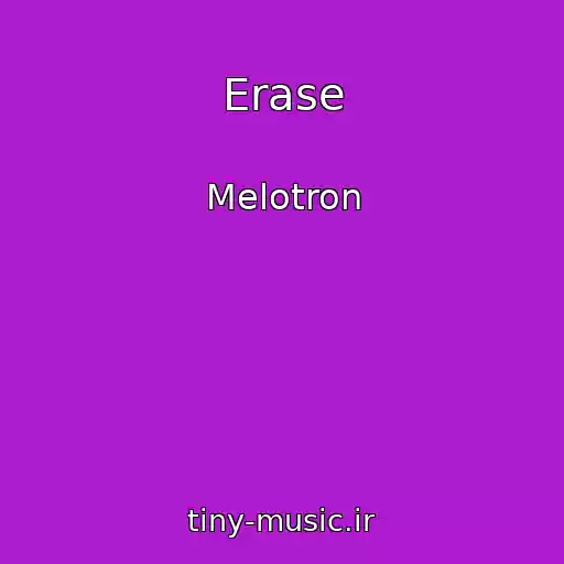 کاور آهنگ Erase از Melotron