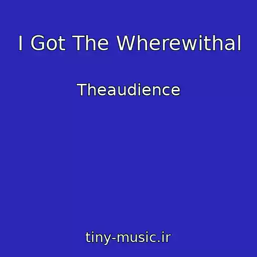 کاور آهنگ I Got The Wherewithal از Theaudience
