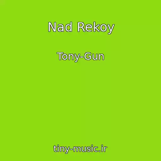 کاور آهنگ Nad Rekoy از Tony-Gun