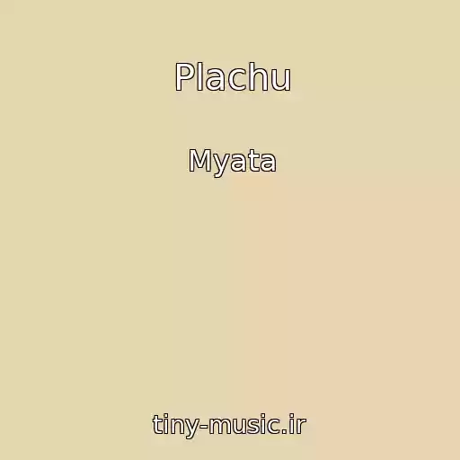 کاور آهنگ Plachu از Myata