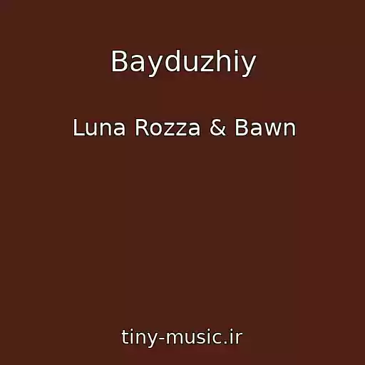 کاور آهنگ Bayduzhiy از Luna Rozza & Bawn