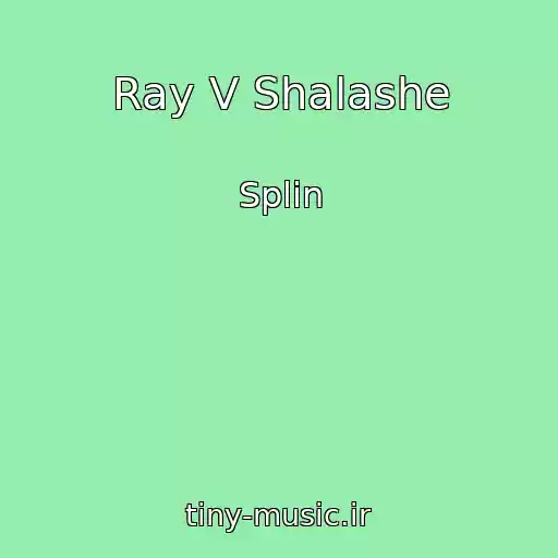 کاور آهنگ Ray V Shalashe از Splin