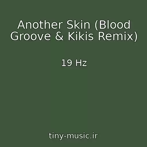 کاور آهنگ Another Skin (Blood Groove & Kikis Remix) از 19 Hz