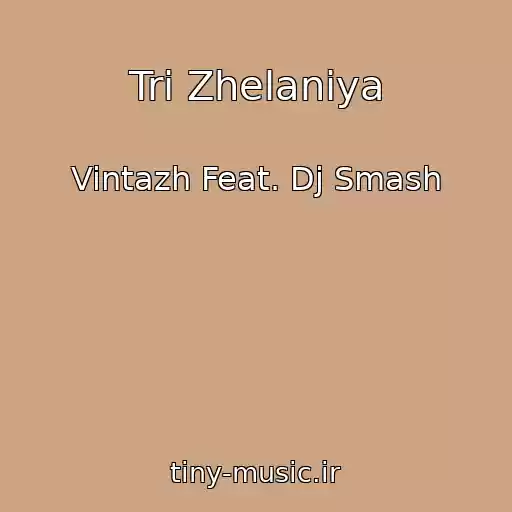 کاور آهنگ Tri Zhelaniya از Vintazh Feat. Dj Smash
