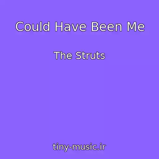 کاور آهنگ Could Have Been Me از The Struts