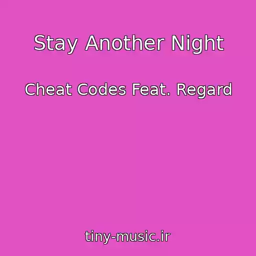 کاور آهنگ Stay Another Night از Cheat Codes Feat. Regard