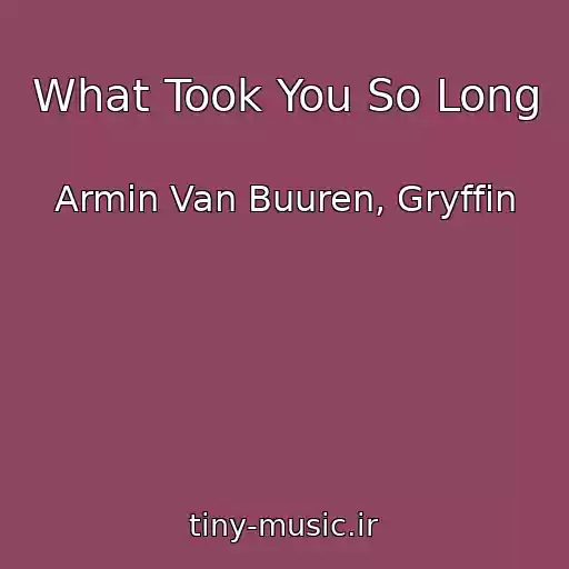 کاور آهنگ What Took You So Long از Armin Van Buuren, Gryffin
