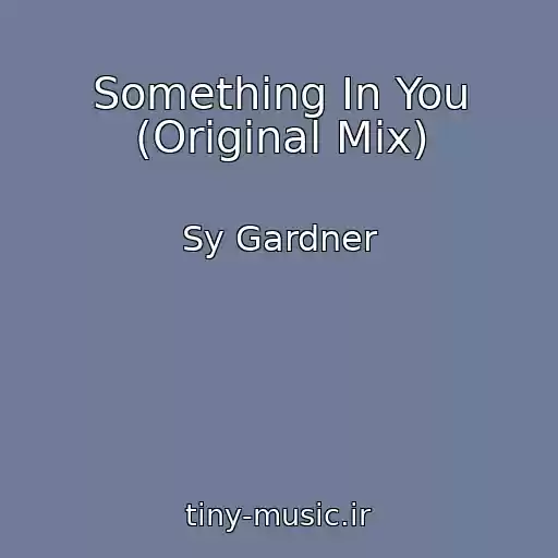 کاور آهنگ Something In You (Original Mix) از Sy Gardner