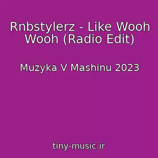 کاور آهنگ Rnbstylerz - Like Wooh Wooh (Radio Edit) از Muzyka V Mashinu 2023