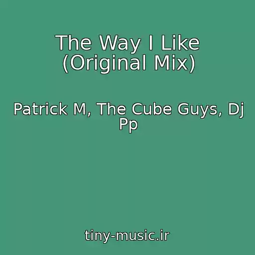 کاور آهنگ The Way I Like (Original Mix) از Patrick M, The Cube Guys, Dj Pp