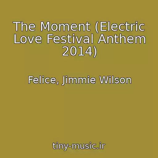 کاور آهنگ The Moment (Electric Love Festival Anthem 2014) از Felice, Jimmie Wilson