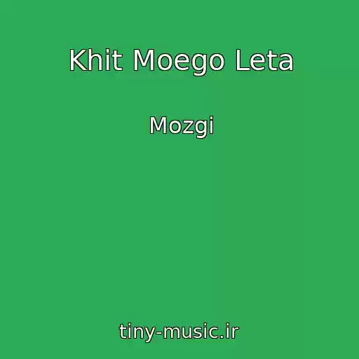 کاور آهنگ Khit Moego Leta از Mozgi