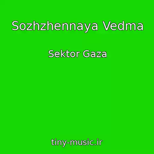 کاور آهنگ Sozhzhennaya Vedma از Sektor Gaza