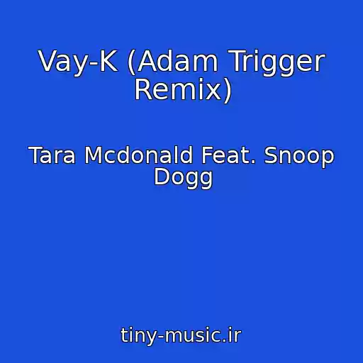 کاور آهنگ Vay-K (Adam Trigger Remix) از Tara Mcdonald Feat. Snoop Dogg