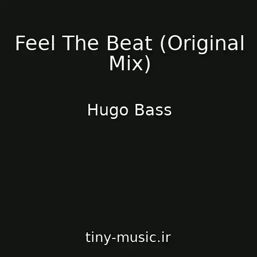 کاور آهنگ Feel The Beat (Original Mix) از Hugo Bass