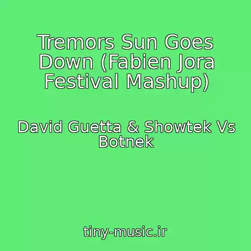 کاور آهنگ Tremors Sun Goes Down (Fabien Jora Festival Mashup) از David Guetta & Showtek Vs Botnek