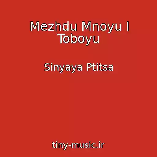 کاور آهنگ Mezhdu Mnoyu I Toboyu از Sinyaya Ptitsa