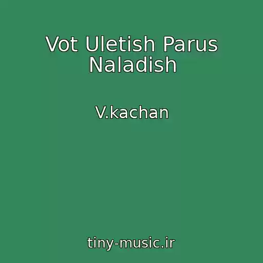 کاور آهنگ Vot Uletish Parus Naladish از V.kachan