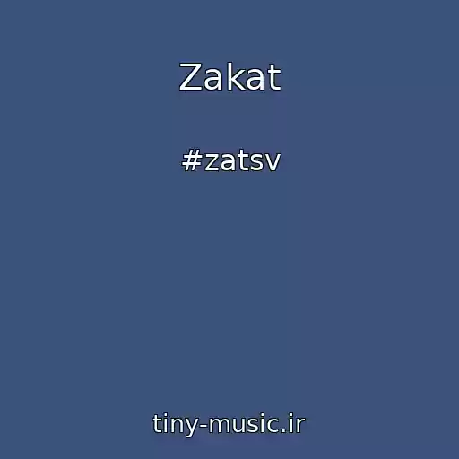 کاور آهنگ Zakat از #zatsv