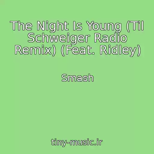 کاور آهنگ The Night Is Young (Til Schweiger Radio Remix) (Feat. Ridley) از Smash