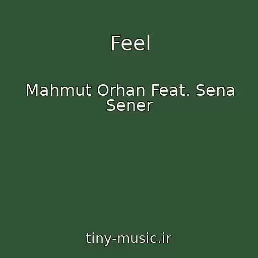 کاور آهنگ Feel از Mahmut Orhan Feat. Sena Sener