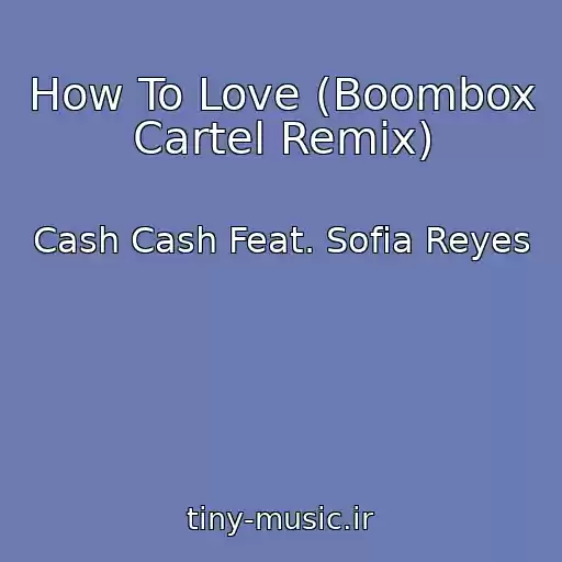 کاور آهنگ How To Love (Boombox Cartel Remix) از Cash Cash Feat. Sofia Reyes