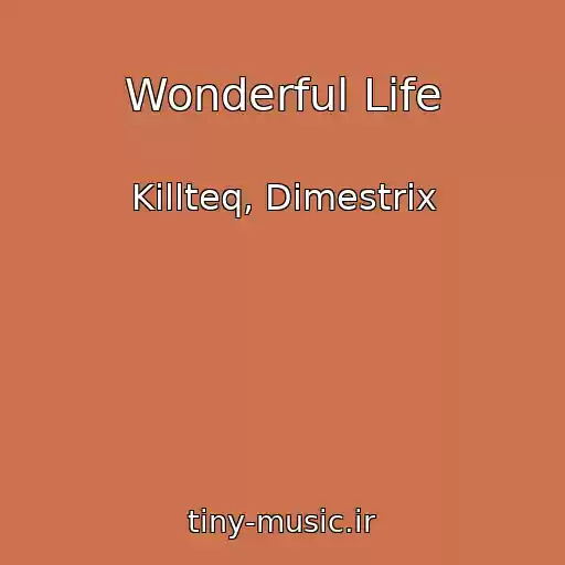 کاور آهنگ Wonderful Life از Killteq, Dimestrix