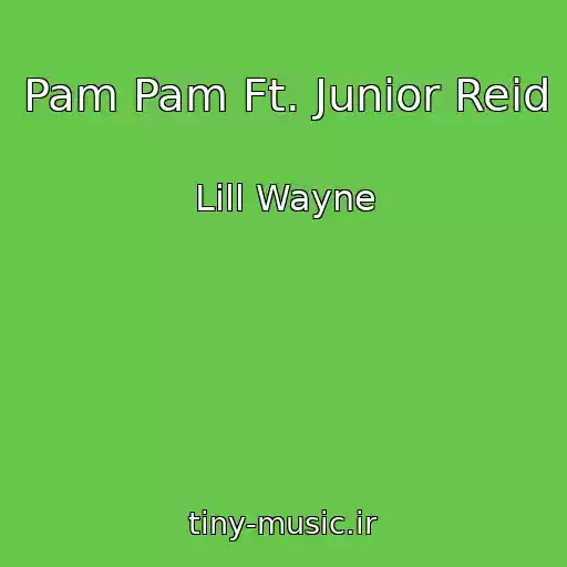 کاور آهنگ Pam Pam Ft. Junior Reid از Lill Wayne