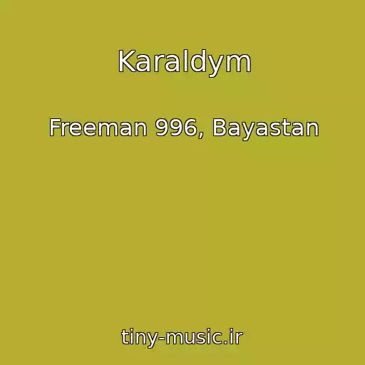 کاور آهنگ Karaldym از Freeman 996, Bayastan