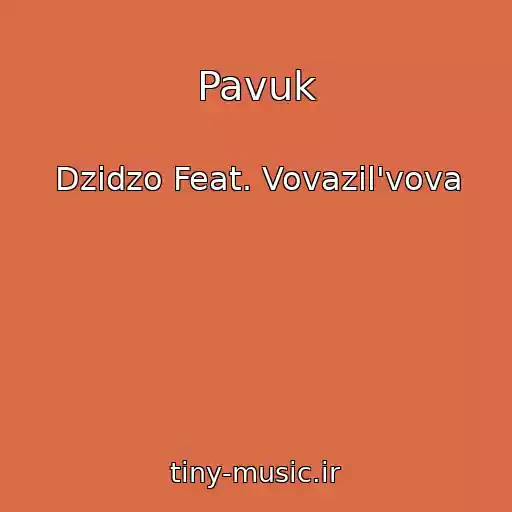 کاور آهنگ Pavuk از Dzіdzo Feat. Vovazil'vova