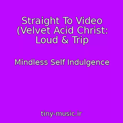 کاور آهنگ Straight To Video (Velvet Acid Christ: Loud & Trip از Mindless Self Indulgence
