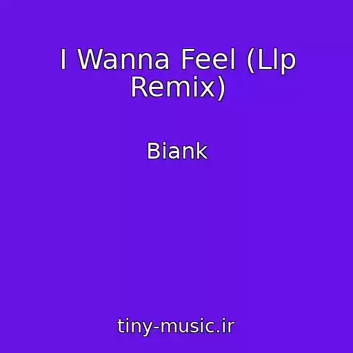 کاور آهنگ I Wanna Feel (Llp Remix) از Biank
