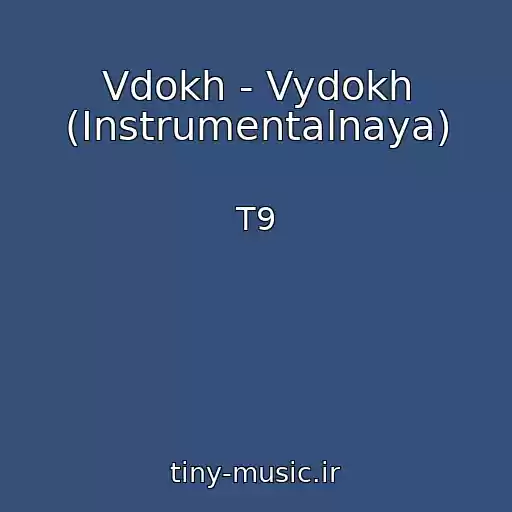 کاور آهنگ Vdokh - Vydokh (Instrumentalnaya) از T9