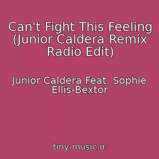 کاور آهنگ Can't Fight This Feeling (Junior Caldera Remix Radio Edit) از Junior Caldera Feat. Sophie Ellis-Bextor