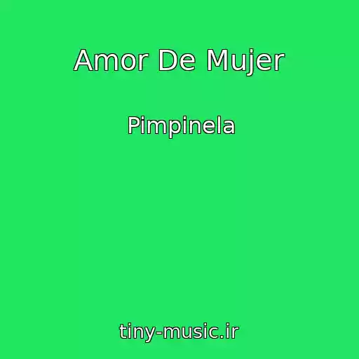 کاور آهنگ Amor De Mujer از Pimpinela