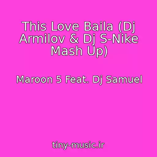 کاور آهنگ This Love Baila (Dj Armilov & Dj S-Nike Mash Up) از Maroon 5 Feat. Dj Samuel