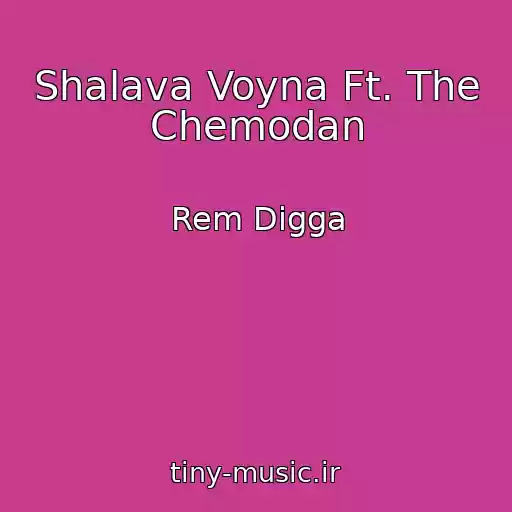 کاور آهنگ Shalava Voyna Ft. The Chemodan از Rem Digga