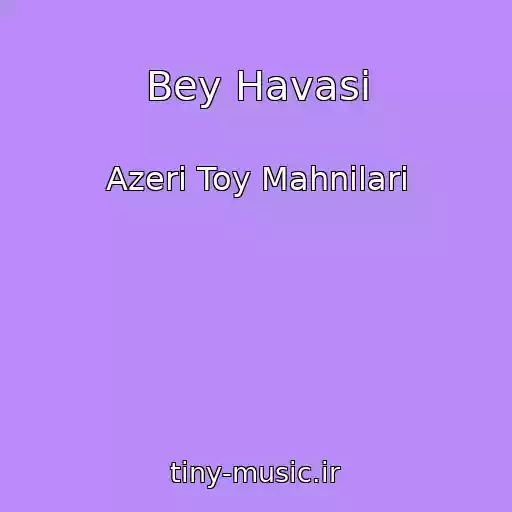 کاور آهنگ Bey Havasi از Azeri Toy Mahnilari