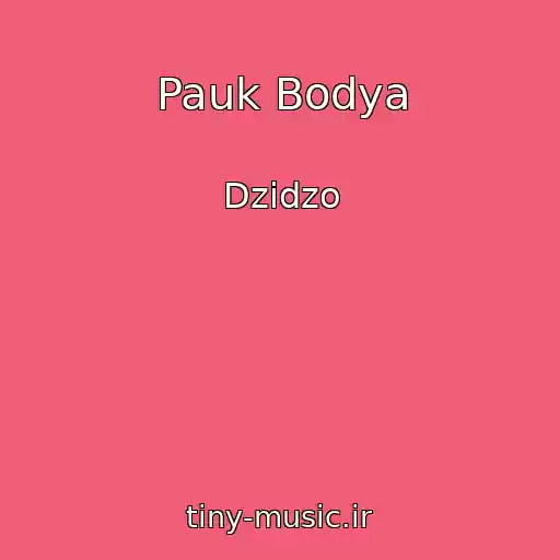 کاور آهنگ Pauk Bodya از Dzidzo