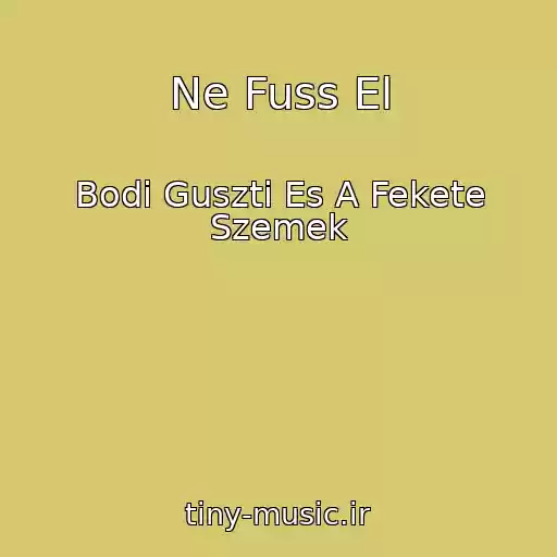 کاور آهنگ Ne Fuss El از Bodi Guszti Es A Fekete Szemek